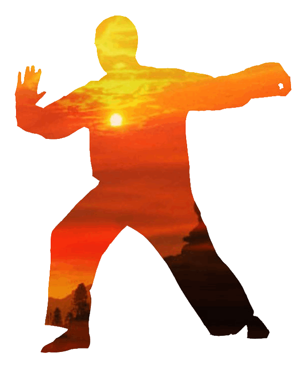 Tai Chi Classes