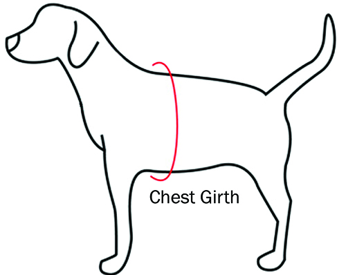 diagram of how to measure chest girth