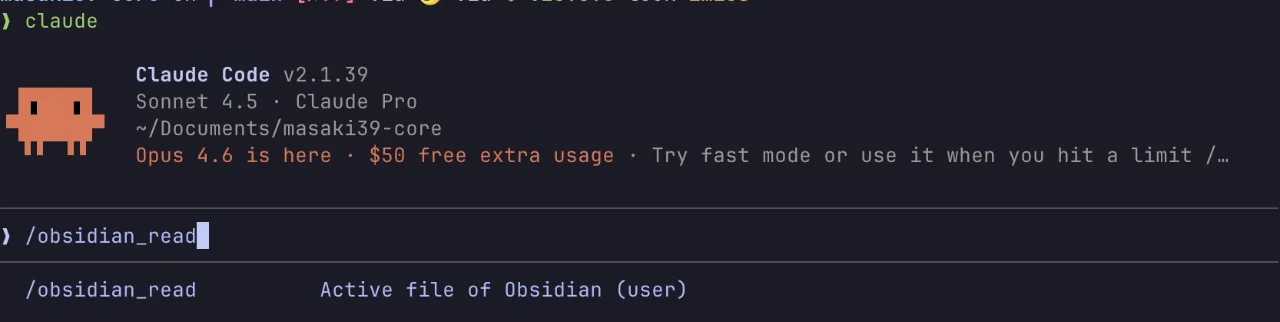 example of slash command