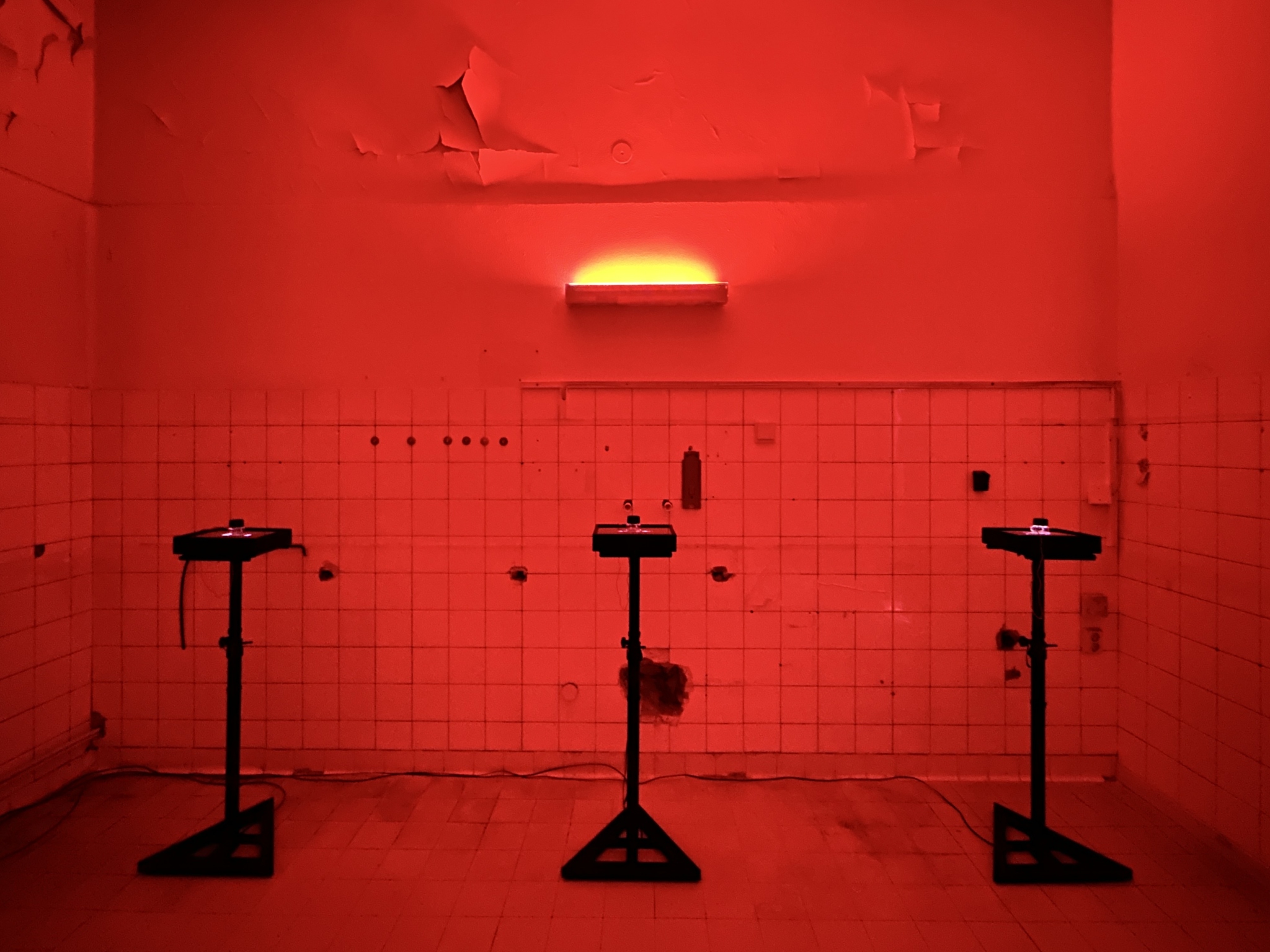 Studies of Change, Bremen. Foto: Hsun Hsiang Hsu
