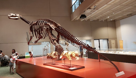 South Brisbane’s Religious and Cultural Evolution: A Legacy of Faith and Change