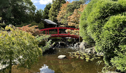Hobart’s Unique Landscape: Where Rugged Mountains Meet Rich Biodiversity