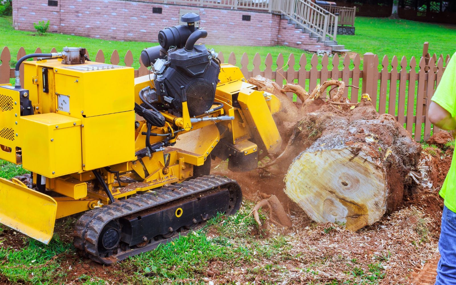 Affordable Tree Services Close to You