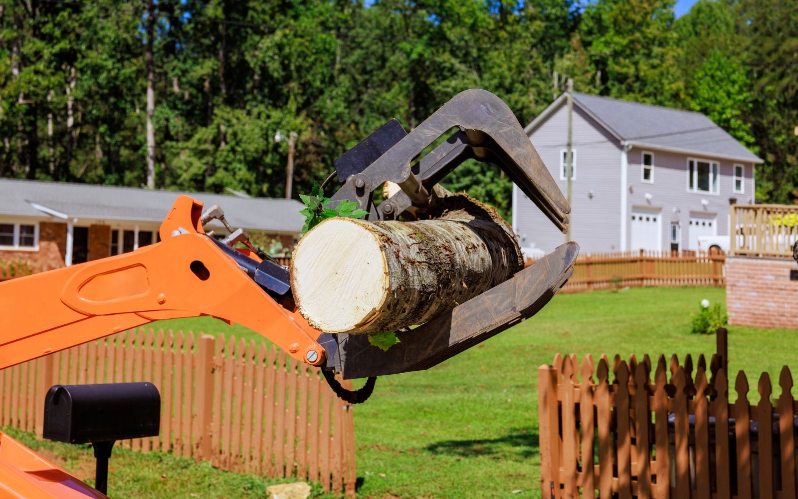 Can removing a tree help prevent property damage?