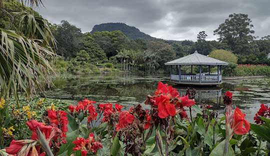 Wollongong's Urban Structure: A Coastal Blend of Commercial, Residential, and Natural Spaces