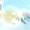 kRGPT߁B@݂̂