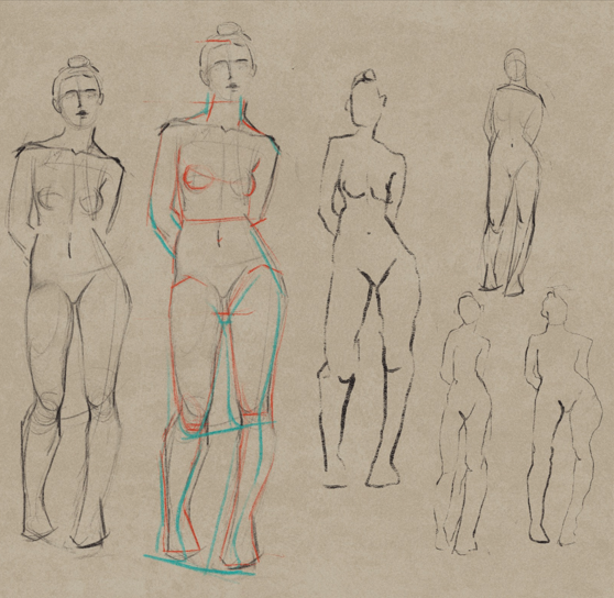 figure study 077