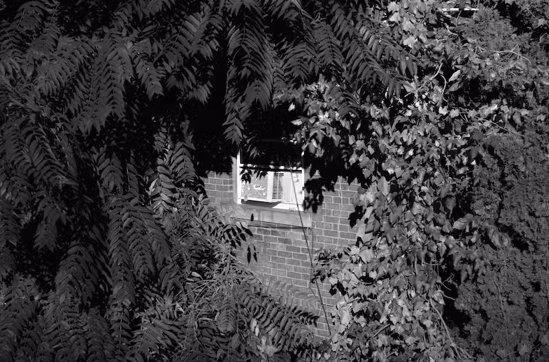 Walking Around Pictures