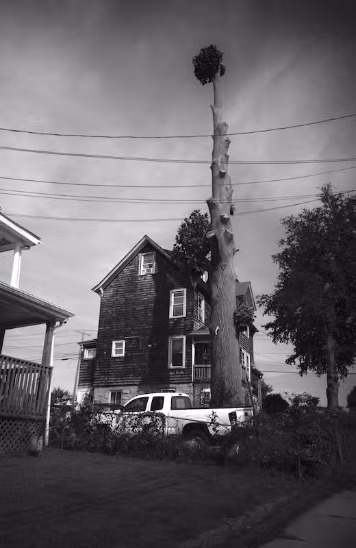 Walking Around Pictures