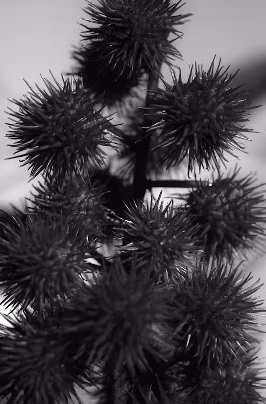 Walking Around Pictures