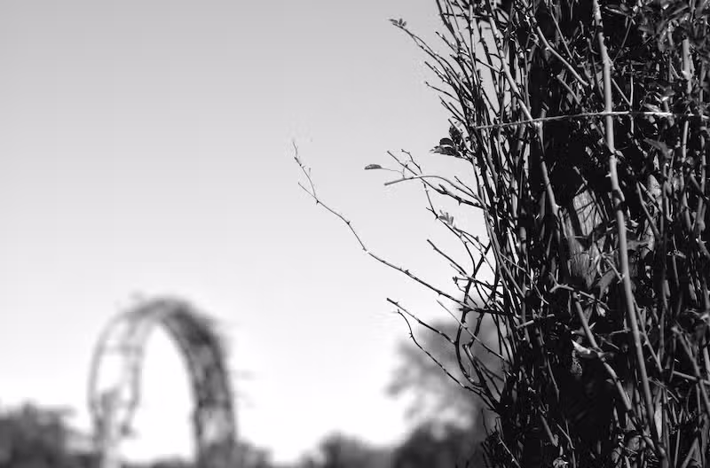 Walking Around Pictures