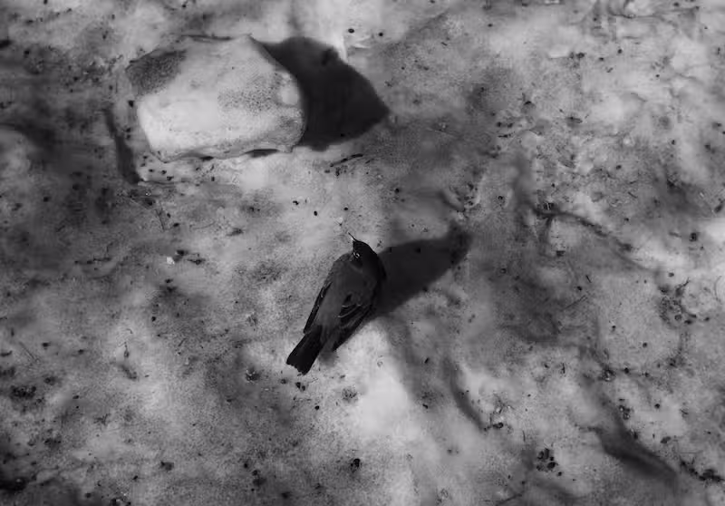 Walking Around Pictures