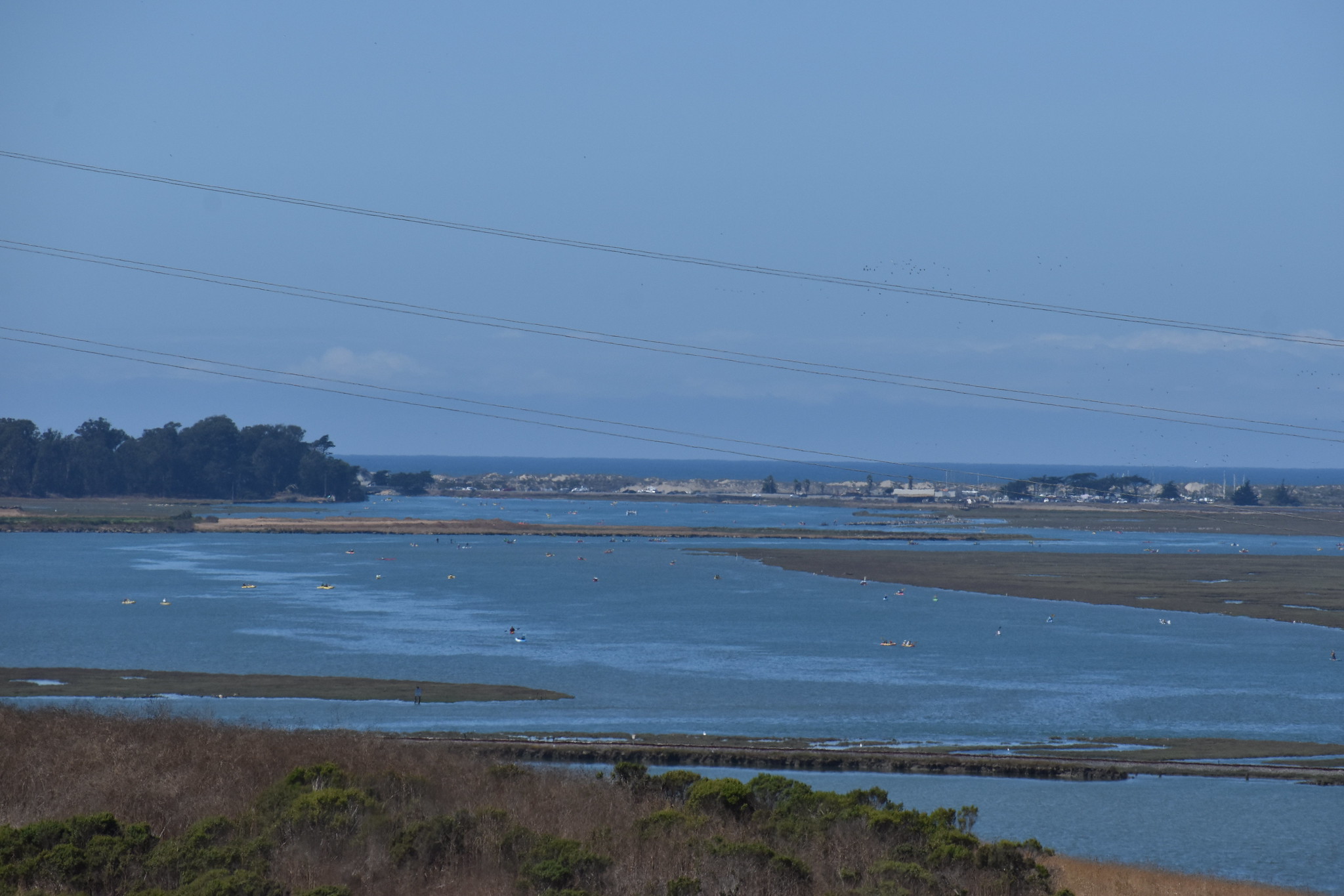 Kayakers in the distance on Elkhorn Slough