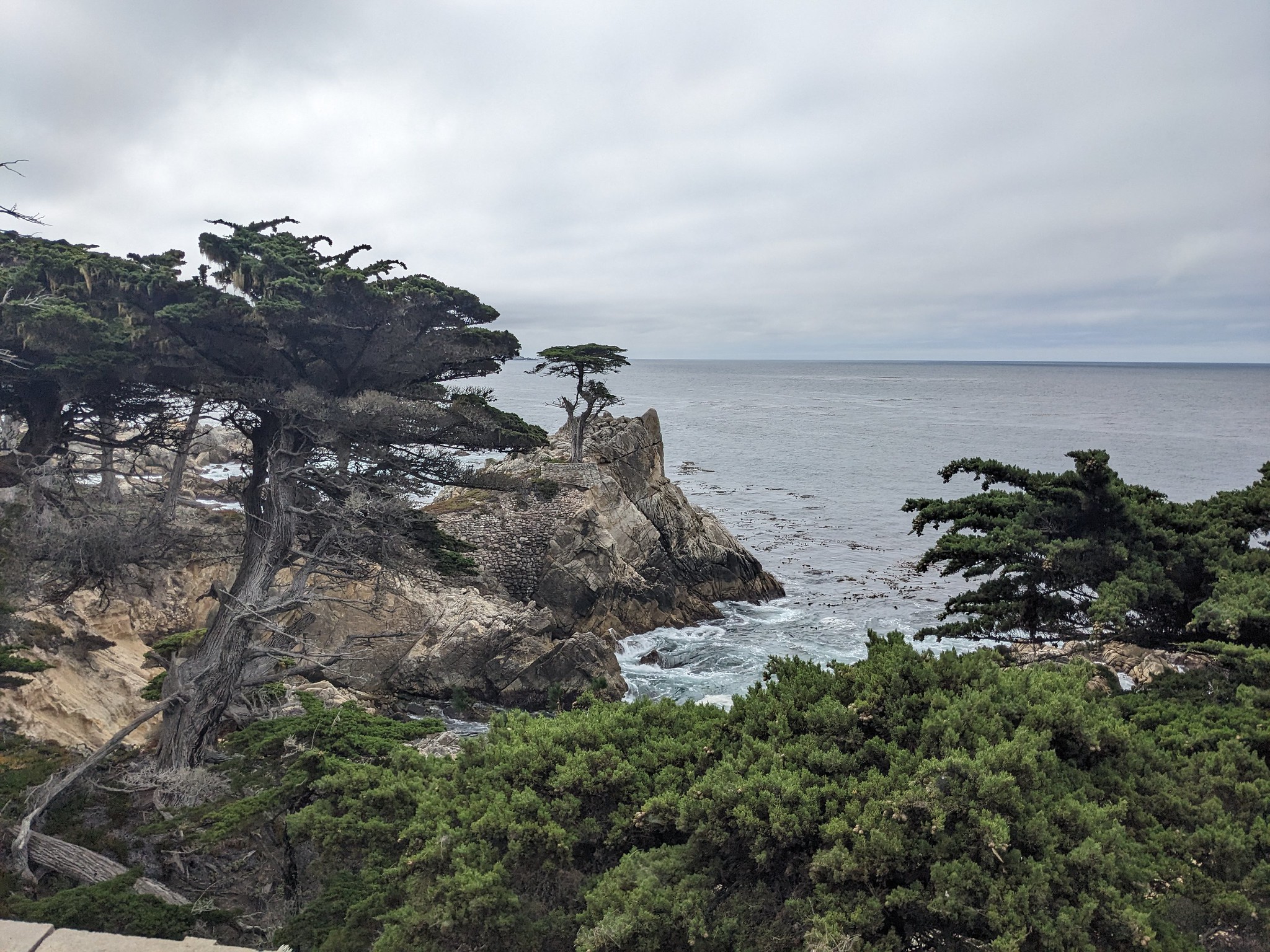 The Lone Cypress along 17 Mile Drive