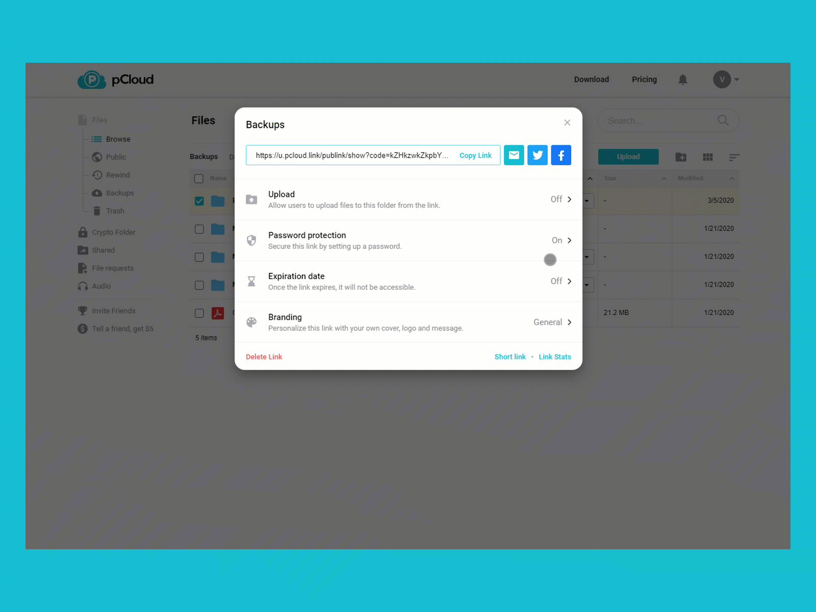 pcloud more than 2tb