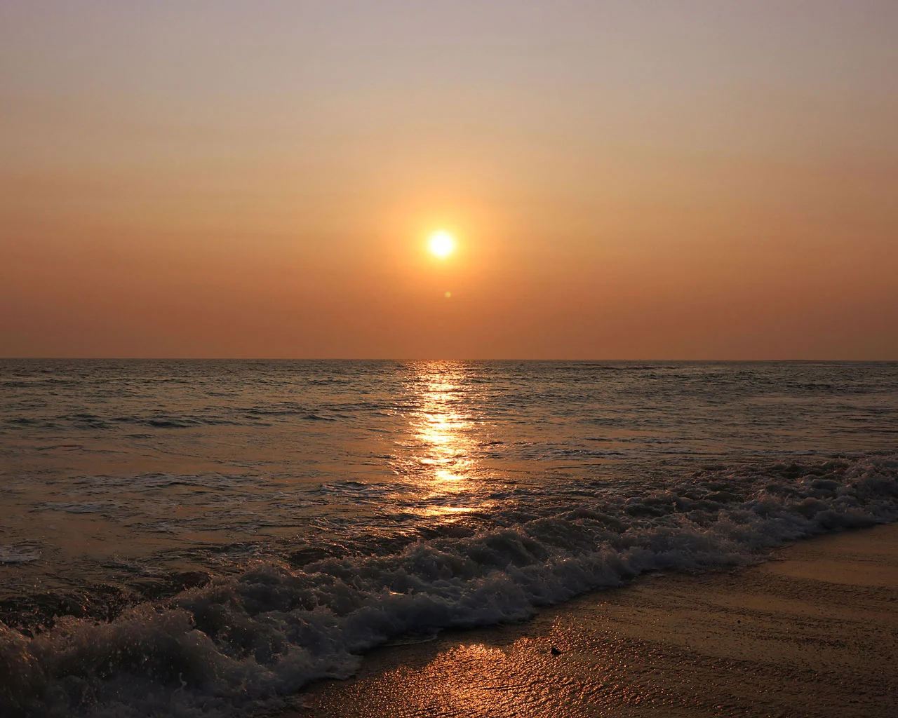 Passion for Photography 5 image