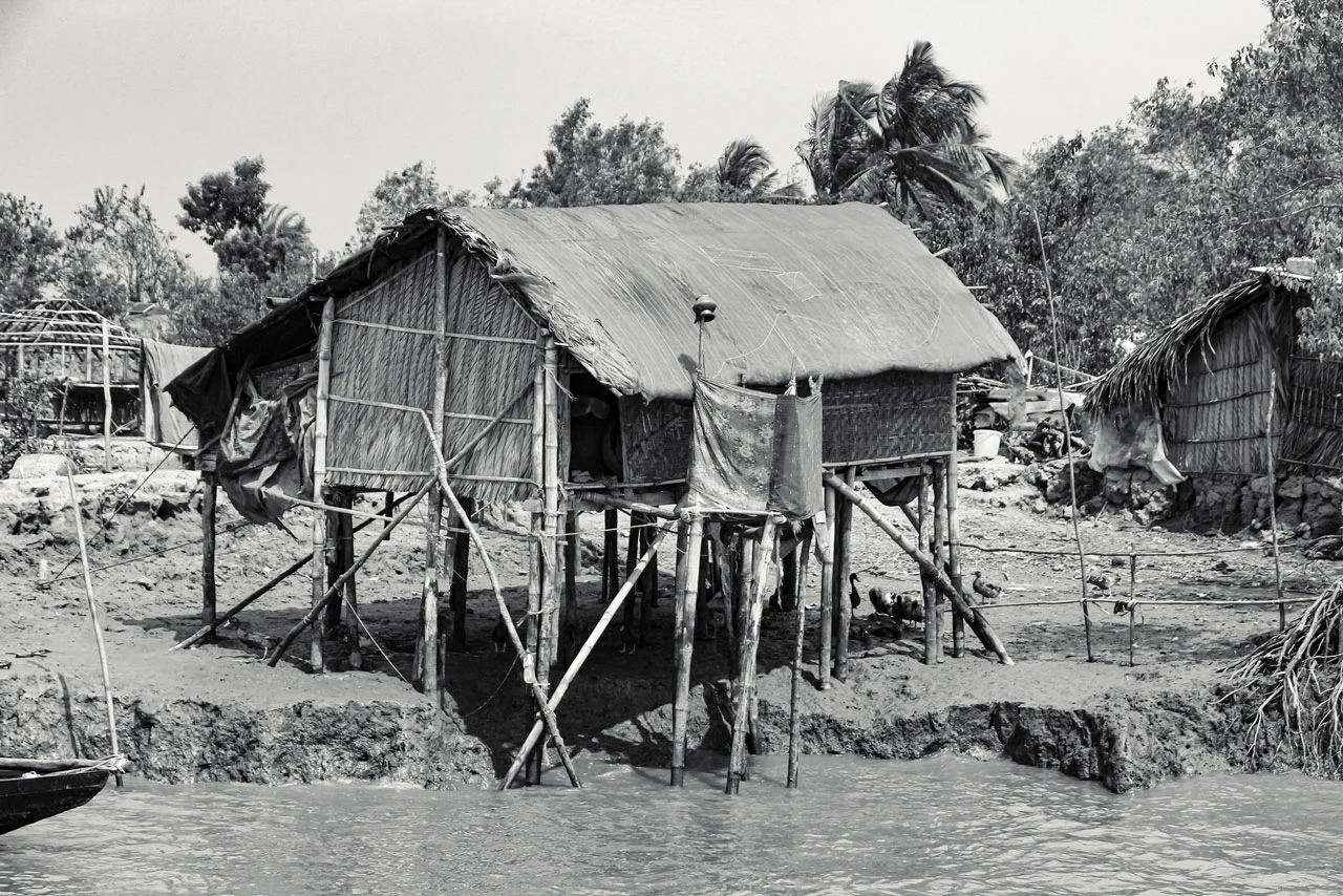 Passion for Photography 7 image