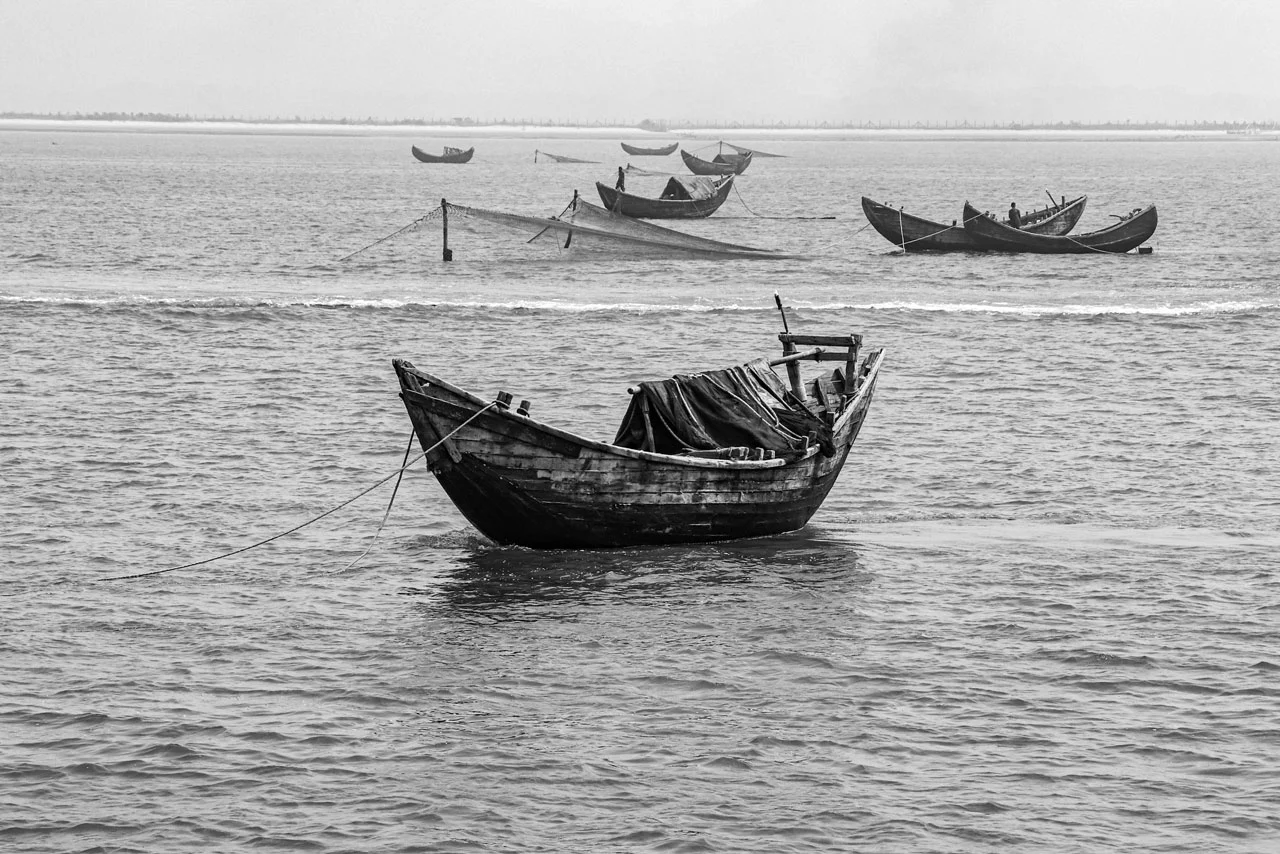 Passion for Photography 8 image