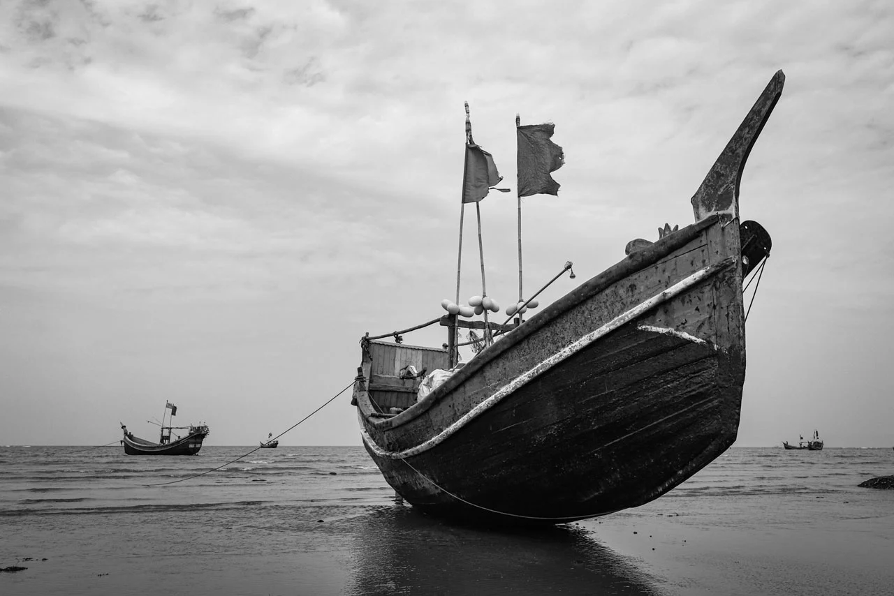 Passion for Photography 9 image