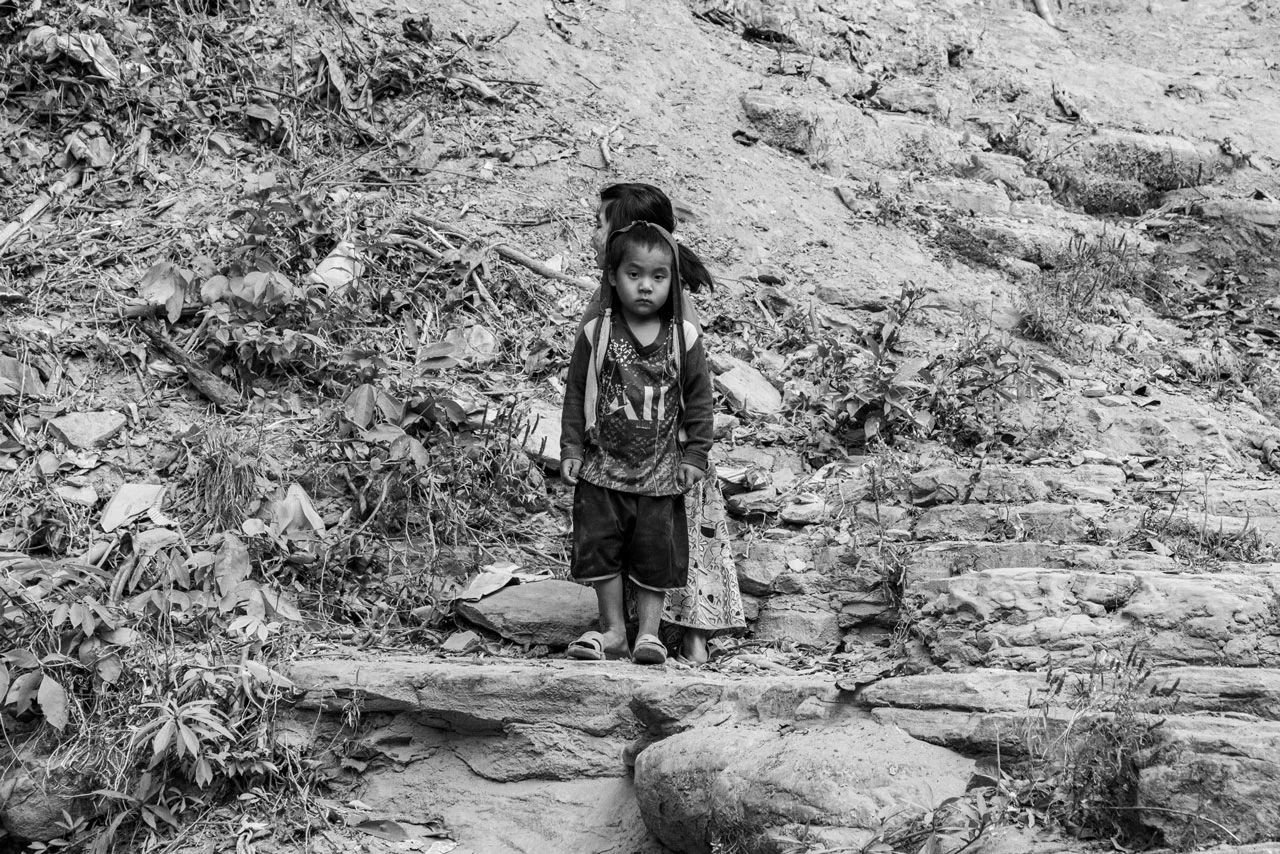 Passion for Photography 11 image