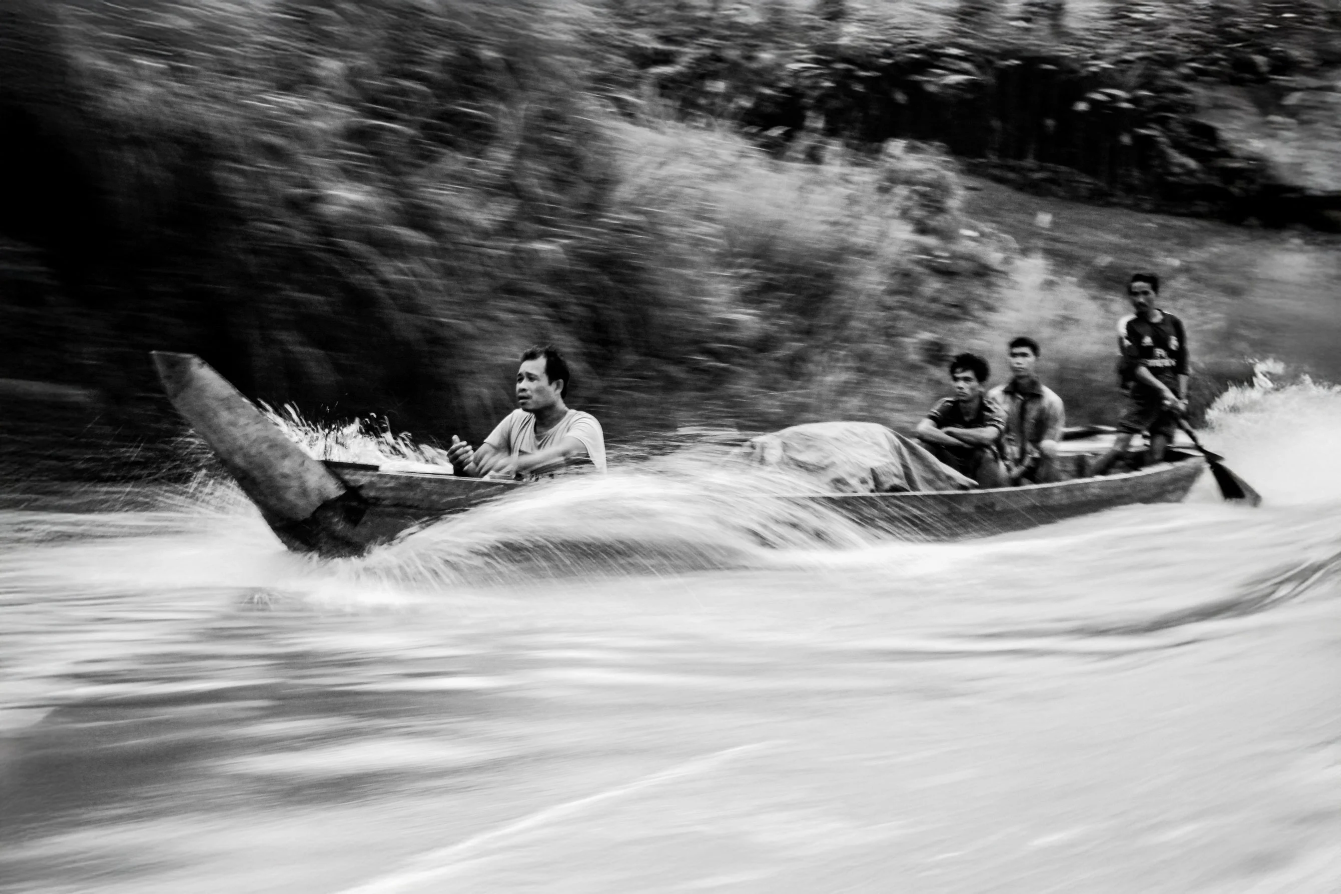 Passion for Photography 12 image