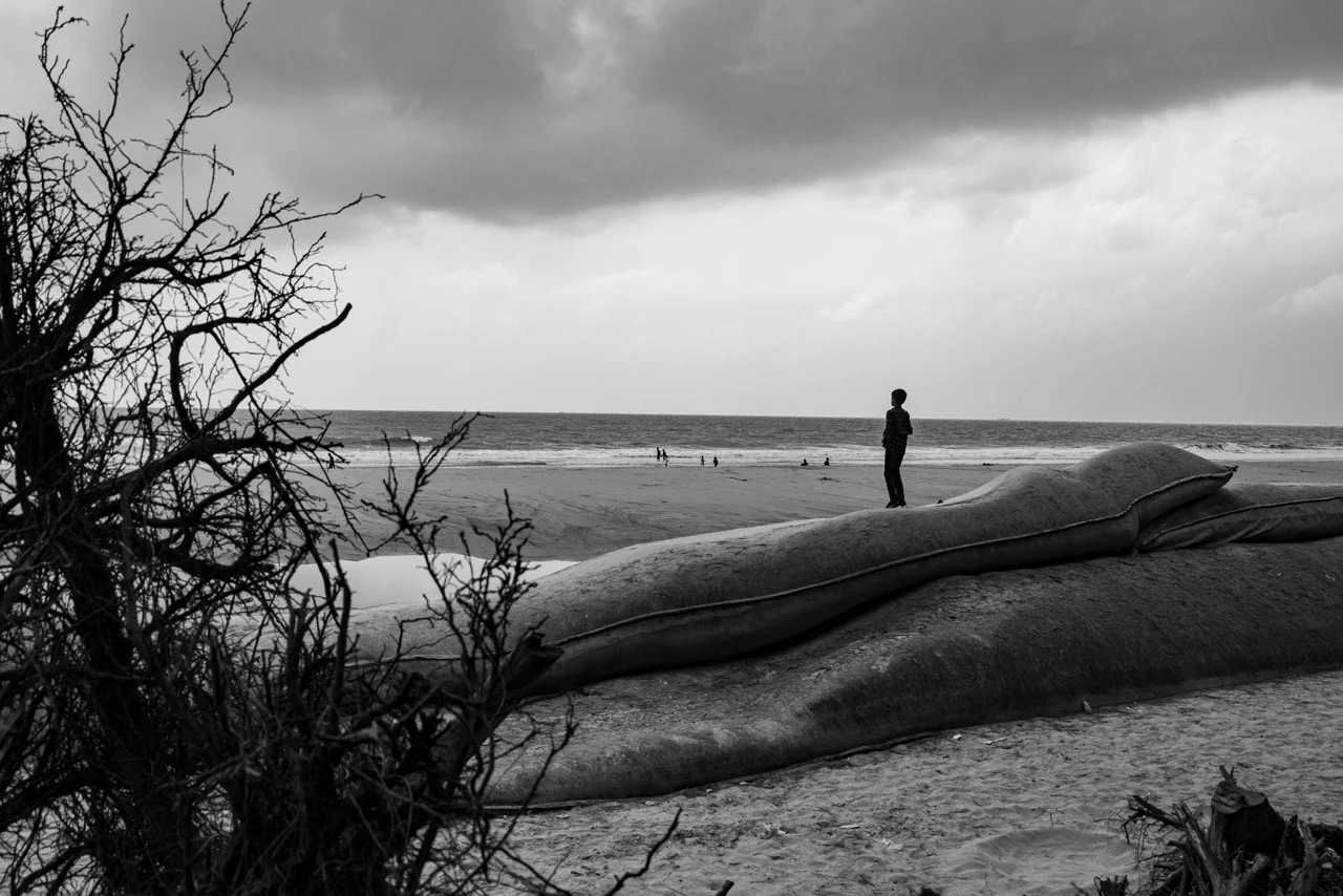 Passion for Photography 13 image