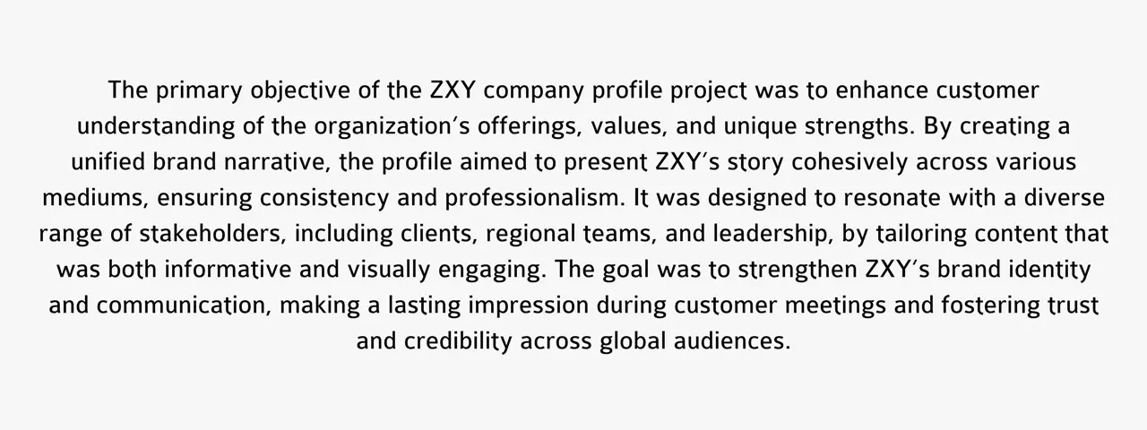 ZXY Group Profile 2 image