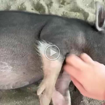 4eead9a1-8515-4d3f-bfaa-f4ce5524fe0b