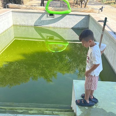 82791f48-266c-435c-bbb7-5785d31e2c97