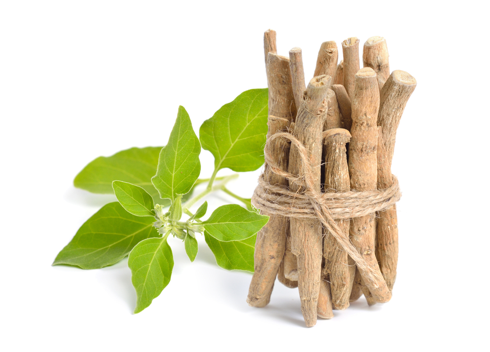 How to Enjoy the Benefits of Ashwagandha Stress Relief in an Easy and Tasty Way 