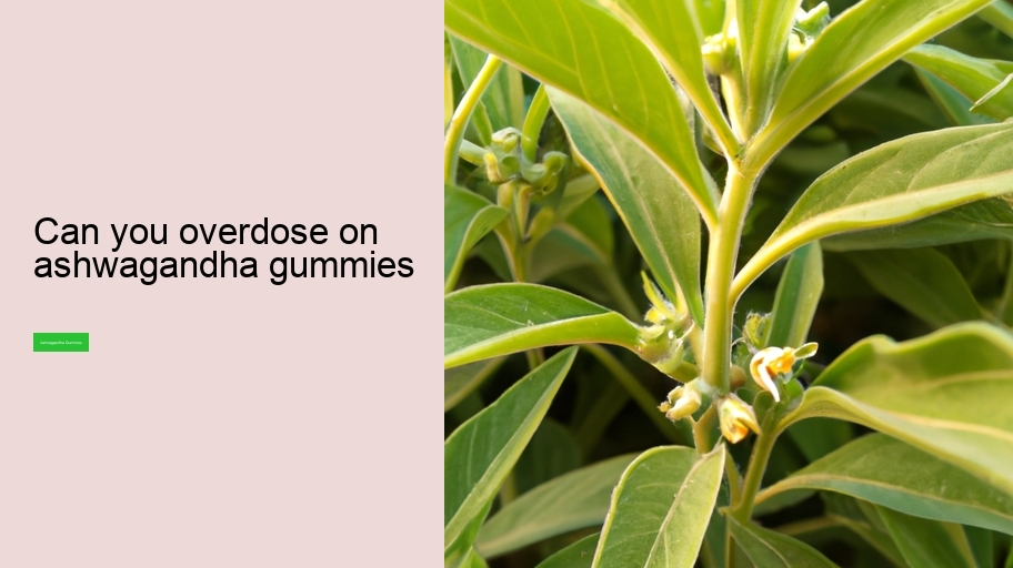 can you overdose on ashwagandha gummies