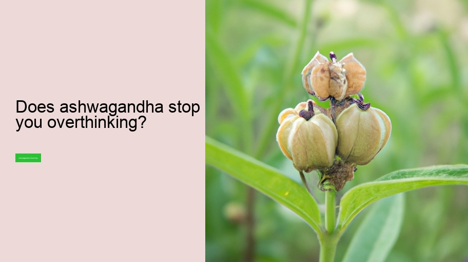 Does ashwagandha stop you overthinking?