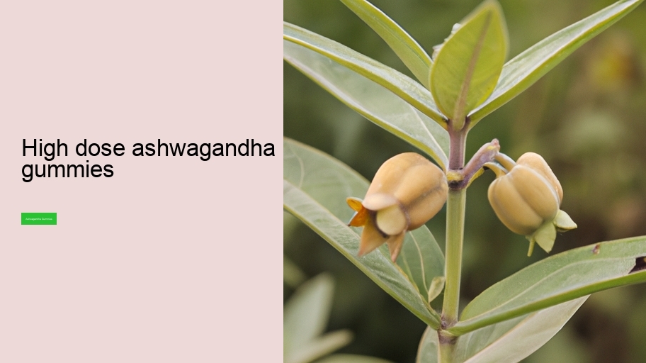 high dose ashwagandha gummies