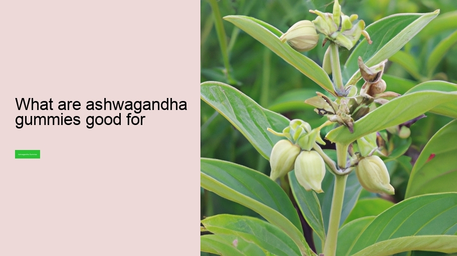 what are ashwagandha gummies good for