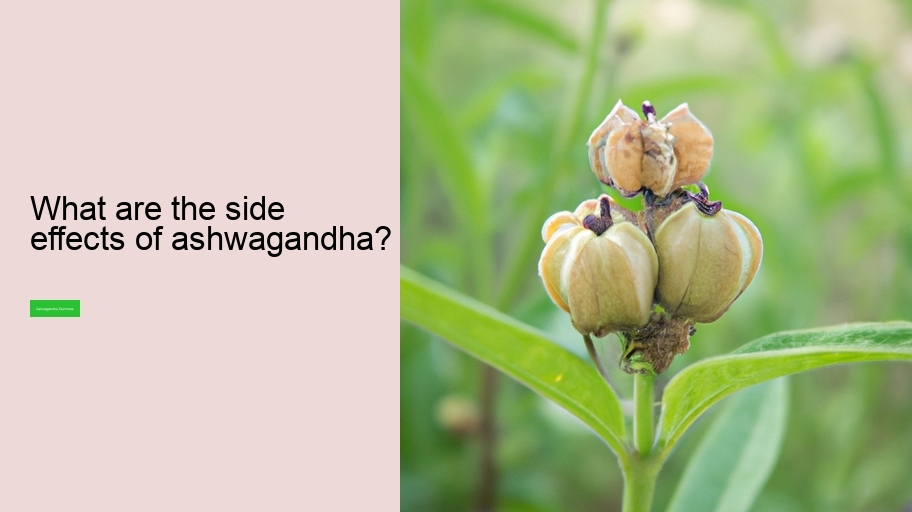 What are the side effects of ashwagandha?