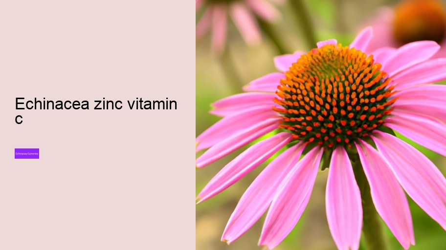 echinacea zinc vitamin c