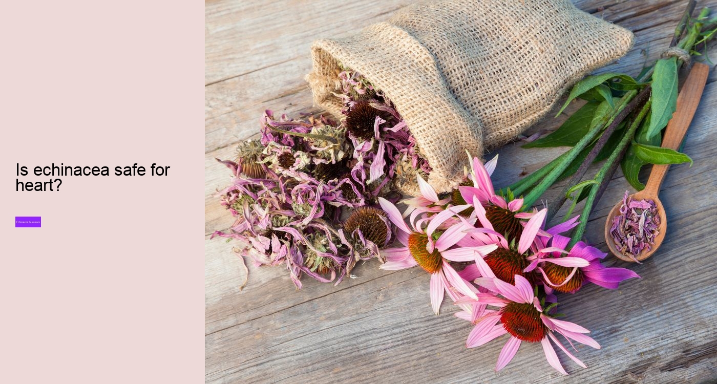 Is echinacea an anti-inflammatory?