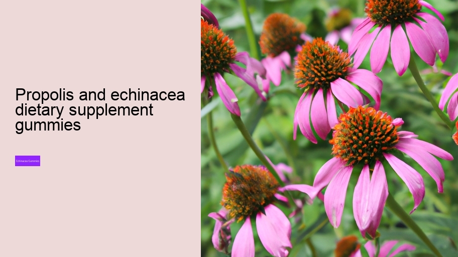 propolis and echinacea dietary supplement gummies