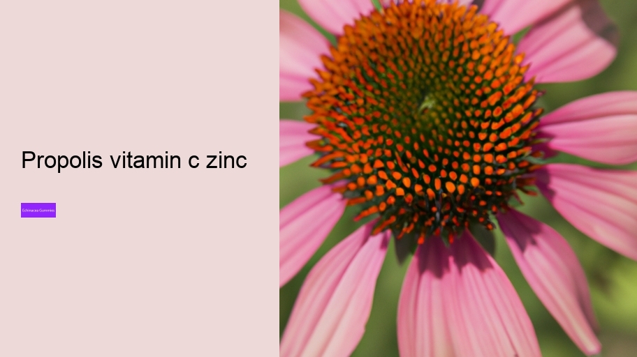 propolis vitamin c zinc
