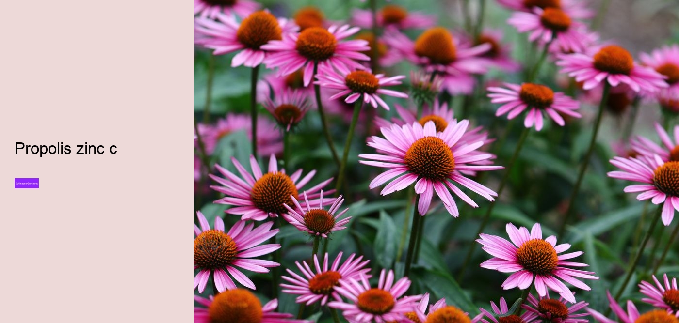 Does echinacea react with anything?