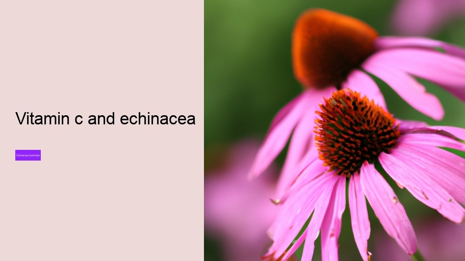 vitamin c and echinacea