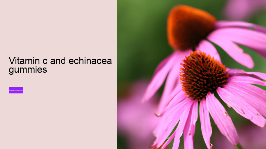 vitamin c and echinacea gummies