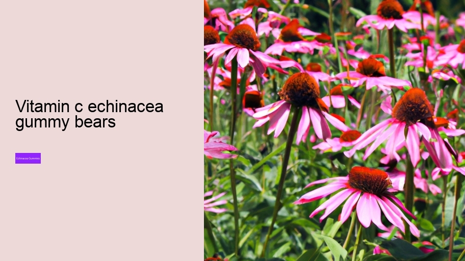 vitamin c echinacea gummy bears