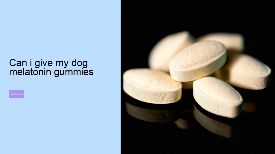 can i give my dog melatonin gummies