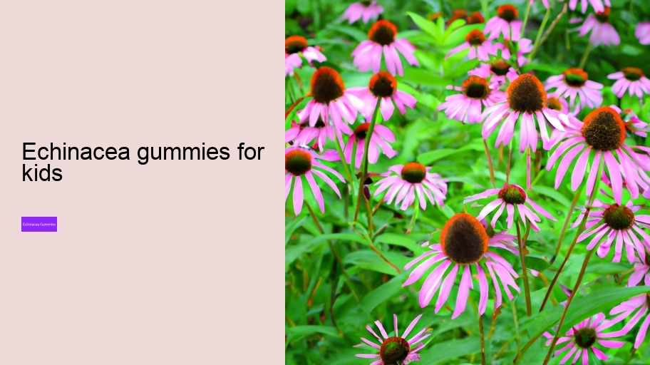 echinacea gummies for kids
