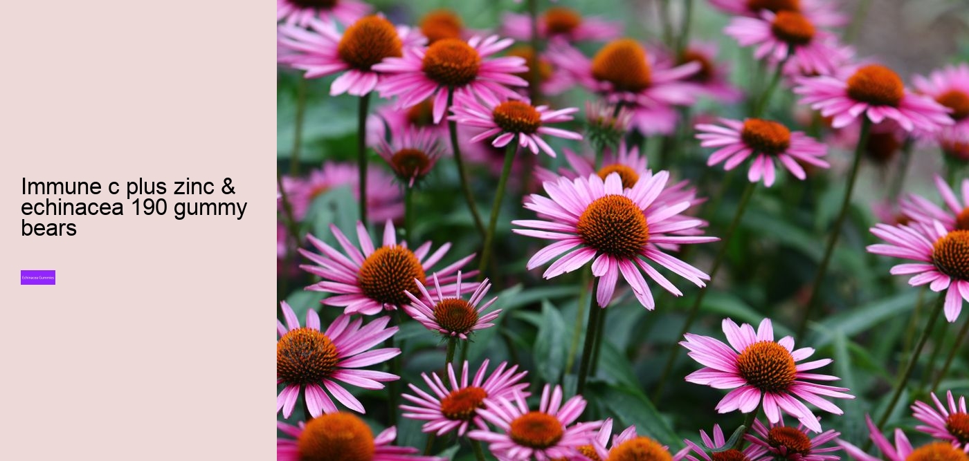 What are the pros and cons of echinacea?