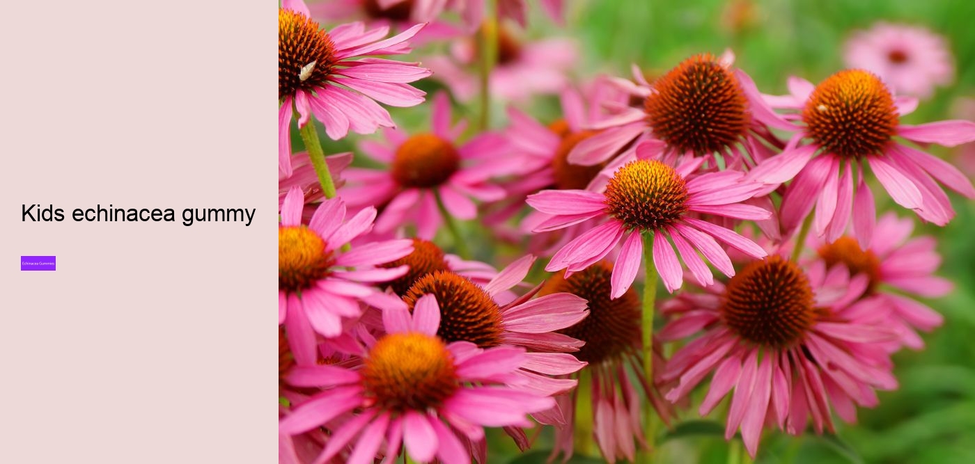 Is echinacea or vitamin C better?