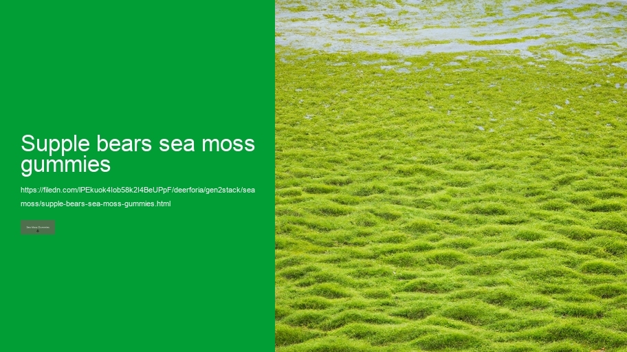 supple bears sea moss gummies