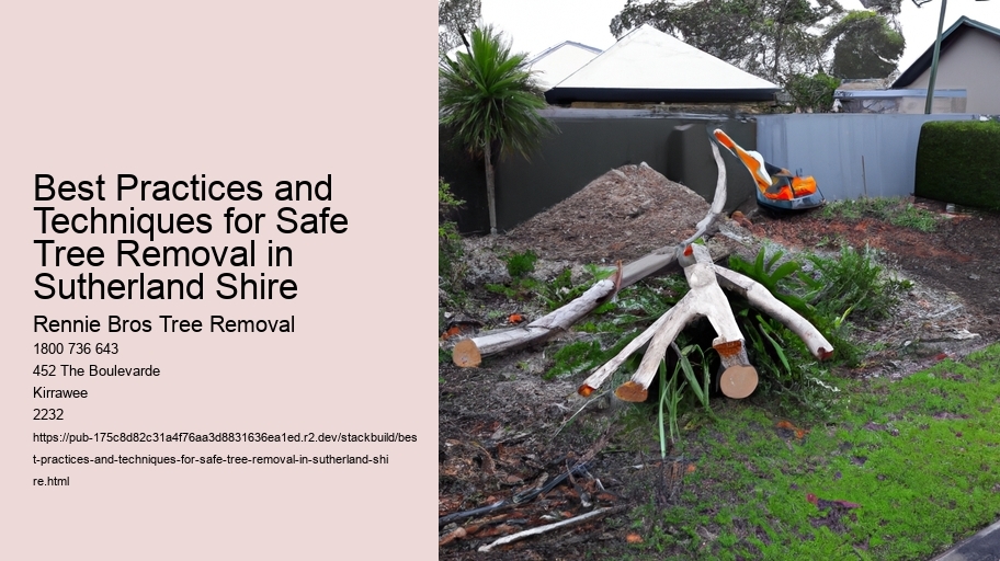Best Practices and Techniques for Safe Tree Removal in Sutherland Shire