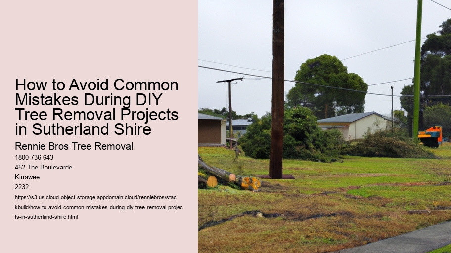 How to Avoid Common Mistakes During DIY Tree Removal Projects in Sutherland Shire    